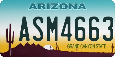 AZ license plate ASM4663