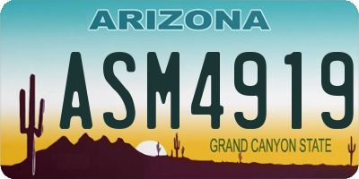 AZ license plate ASM4919