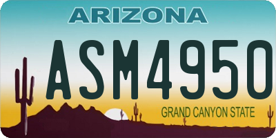 AZ license plate ASM4950