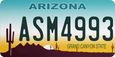 AZ license plate ASM4993
