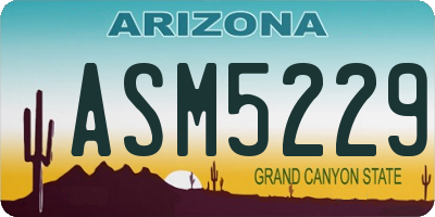 AZ license plate ASM5229