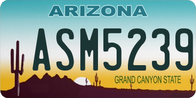 AZ license plate ASM5239