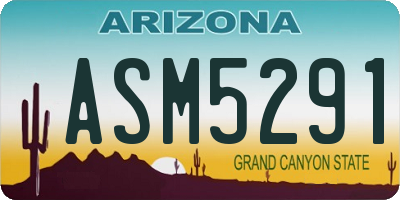 AZ license plate ASM5291