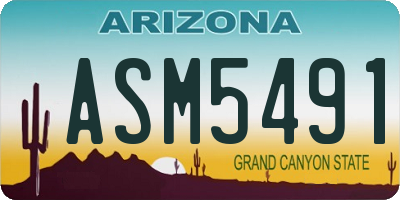AZ license plate ASM5491
