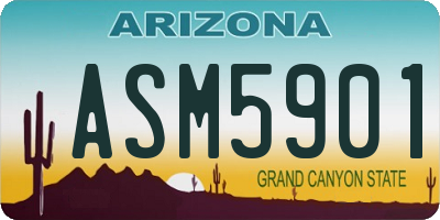 AZ license plate ASM5901