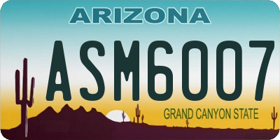 AZ license plate ASM6007