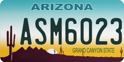 AZ license plate ASM6023