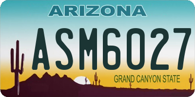 AZ license plate ASM6027