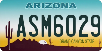AZ license plate ASM6029