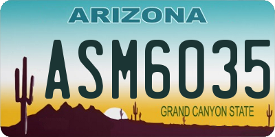 AZ license plate ASM6035