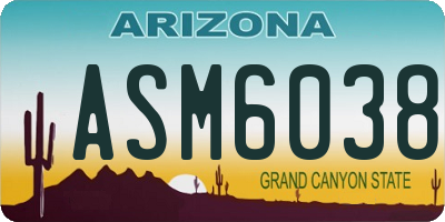 AZ license plate ASM6038
