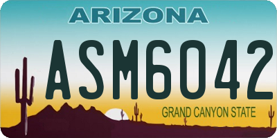 AZ license plate ASM6042