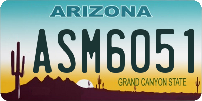 AZ license plate ASM6051
