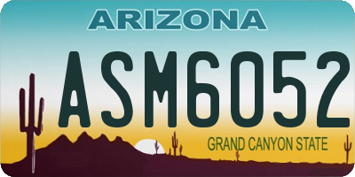 AZ license plate ASM6052