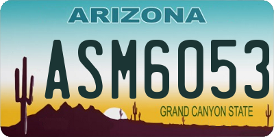AZ license plate ASM6053