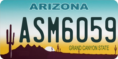 AZ license plate ASM6059