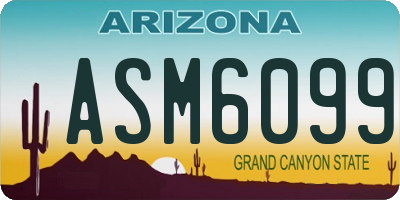 AZ license plate ASM6099