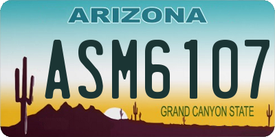 AZ license plate ASM6107