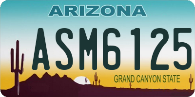 AZ license plate ASM6125