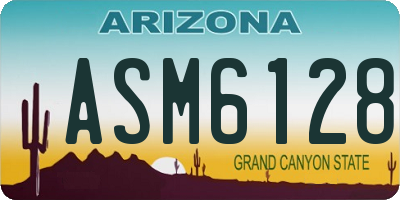 AZ license plate ASM6128