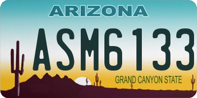 AZ license plate ASM6133