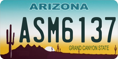 AZ license plate ASM6137