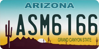 AZ license plate ASM6166