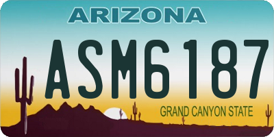 AZ license plate ASM6187