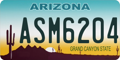 AZ license plate ASM6204