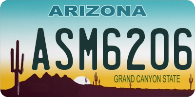 AZ license plate ASM6206