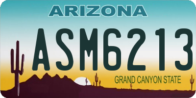AZ license plate ASM6213