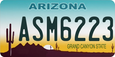AZ license plate ASM6223