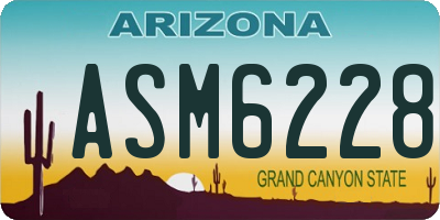 AZ license plate ASM6228