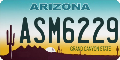 AZ license plate ASM6229