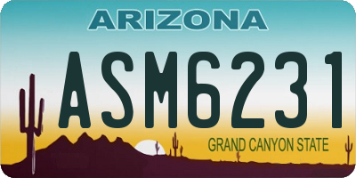 AZ license plate ASM6231
