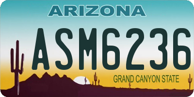 AZ license plate ASM6236