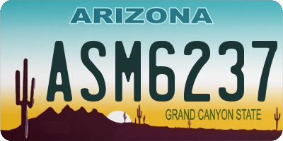 AZ license plate ASM6237