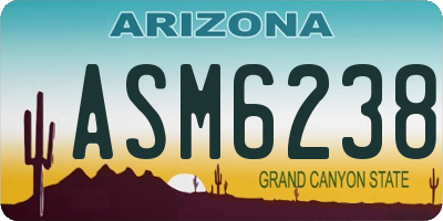 AZ license plate ASM6238