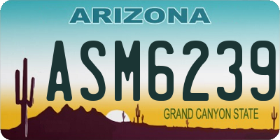 AZ license plate ASM6239