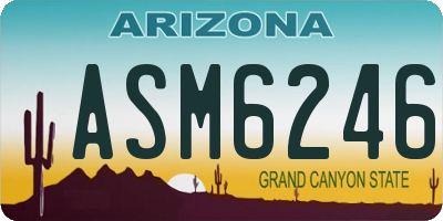 AZ license plate ASM6246