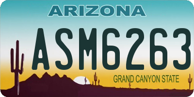 AZ license plate ASM6263