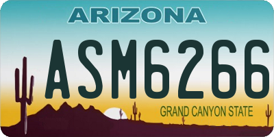 AZ license plate ASM6266
