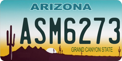 AZ license plate ASM6273