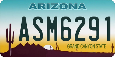 AZ license plate ASM6291