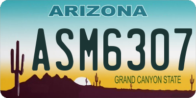 AZ license plate ASM6307