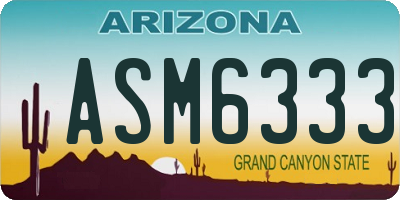 AZ license plate ASM6333