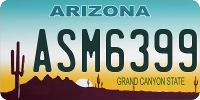 AZ license plate ASM6399