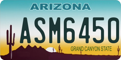 AZ license plate ASM6450
