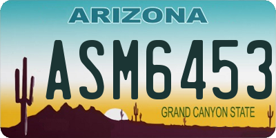 AZ license plate ASM6453