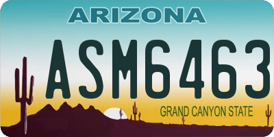 AZ license plate ASM6463